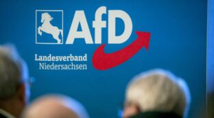 La inteligencia alemana declara a AfD «contraria a la Constitución» y plantea ilegalizar el partido