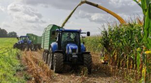 Bruselas quiere relajar aún más las exigencias ambientales para optar a financiación de la PAC