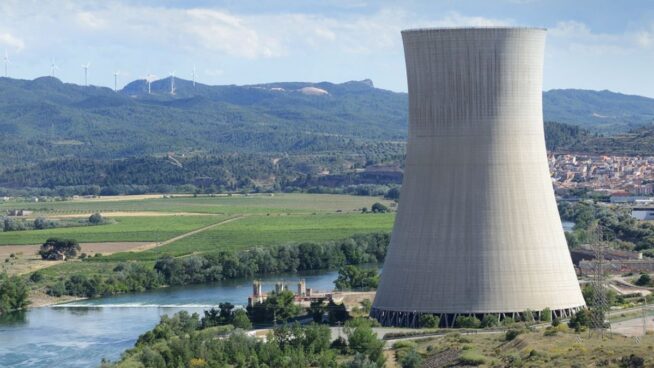 División en la cúpula del Consejo Nuclear por el ascenso de una socialista no experta