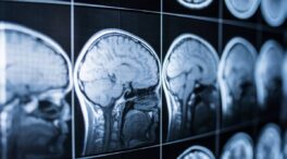 Por qué el cerebro convierte estímulos breves en emociones duraderas