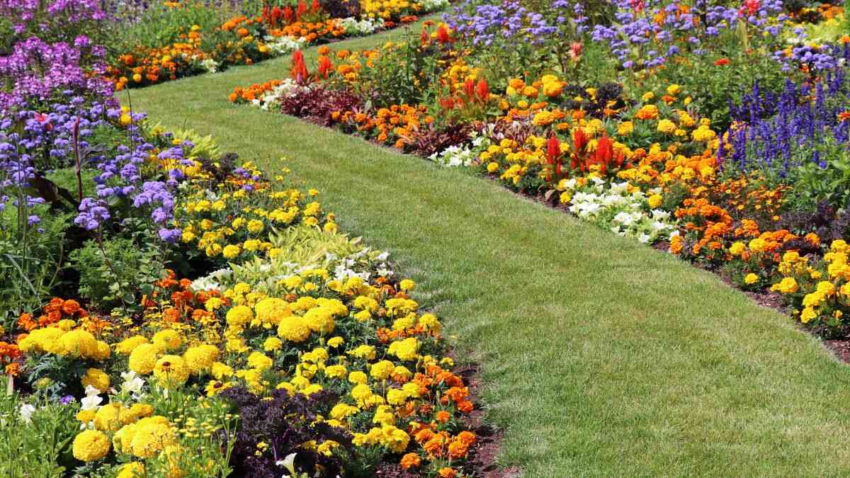 Las flores que puedes plantar en mayo y no se secarán en verano