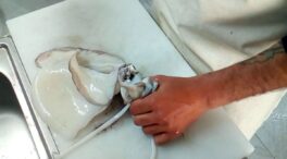 Guía para limpiar sepia como un profesional: consejos de un pescadero