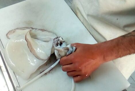 Guía para limpiar sepia como un profesional: consejos de un pescadero