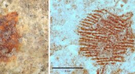 Descubren en Segovia la huella dactilar más antigua del mundo