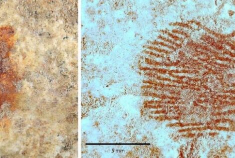 Descubren en Segovia la huella dactilar más antigua del mundo