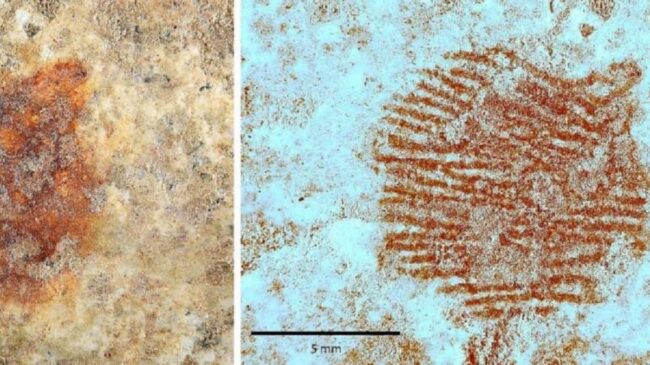 Descubren en Segovia la huella dactilar más antigua del mundo