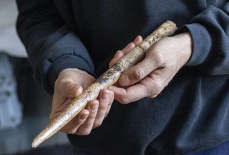 Hallan las herramientas más antiguas fabricadas con huesos de ballena