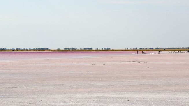 El asombroso lago rosa escondido en Burgos donde flotarás como en el Mar Muerto