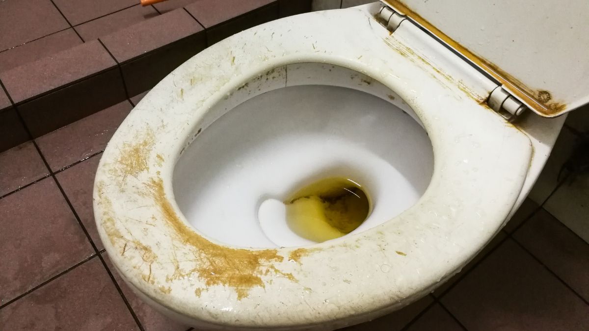 Papel de cocina y vinagre: el truco de una experta para limpiar a fondo el inodoro
