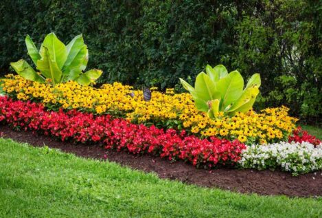 Cómo crear parterres de flores: guía fácil para un jardín espectacular