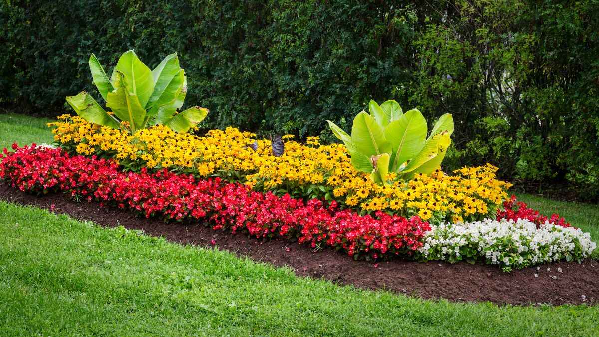 Cómo crear parterres de flores: guía fácil para un jardín espectacular