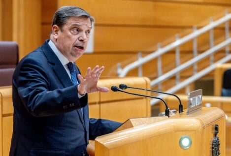 Planas compara los mensajes de Sánchez con el intento de hacer caer a Felipe González