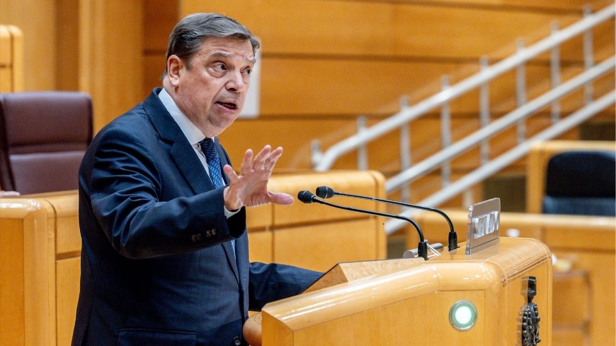 Planas compara los mensajes de Sánchez con el intento de hacer caer a Felipe González