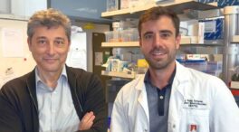 La proteína klotho prolonga la esperanza de vida