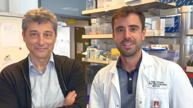 La proteína klotho prolonga la esperanza de vida