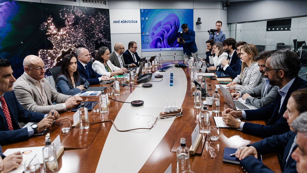 Red Eléctrica propuso al Gobierno revisar la protección del sistema eléctrico hace un año