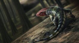 Descubren las huellas de reptil más antiguas conocidas