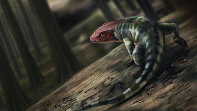 Descubren las huellas de reptil más antiguas conocidas
