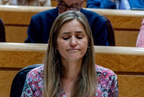El Gobierno calcula que tardará entre tres y seis meses en conocer las causas del apagón