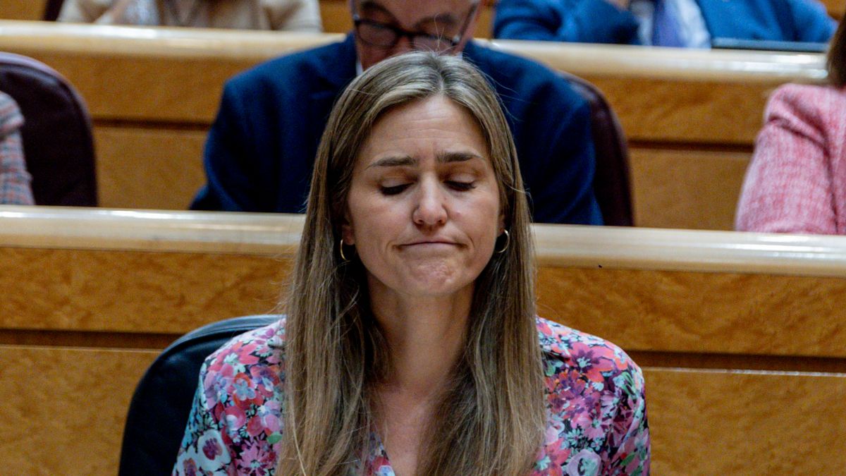 El Gobierno calcula que tardará entre tres y seis meses en conocer las causas del apagón