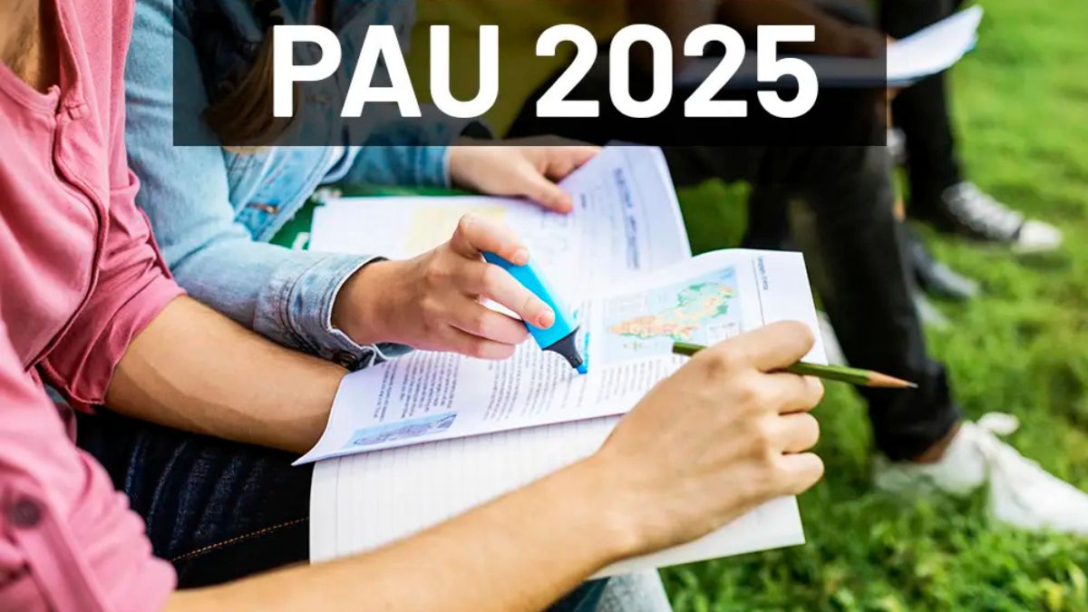 Selectividad 2025: temas de Lengua que más se han repetido en Andalucía, en los últimos 10 años