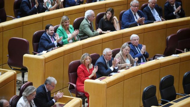 El Senado aprueba crear una comisión de investigación sobre el apagón