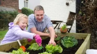 Estas son las verduras que puedes plantar en mayo y cosechar en julio
