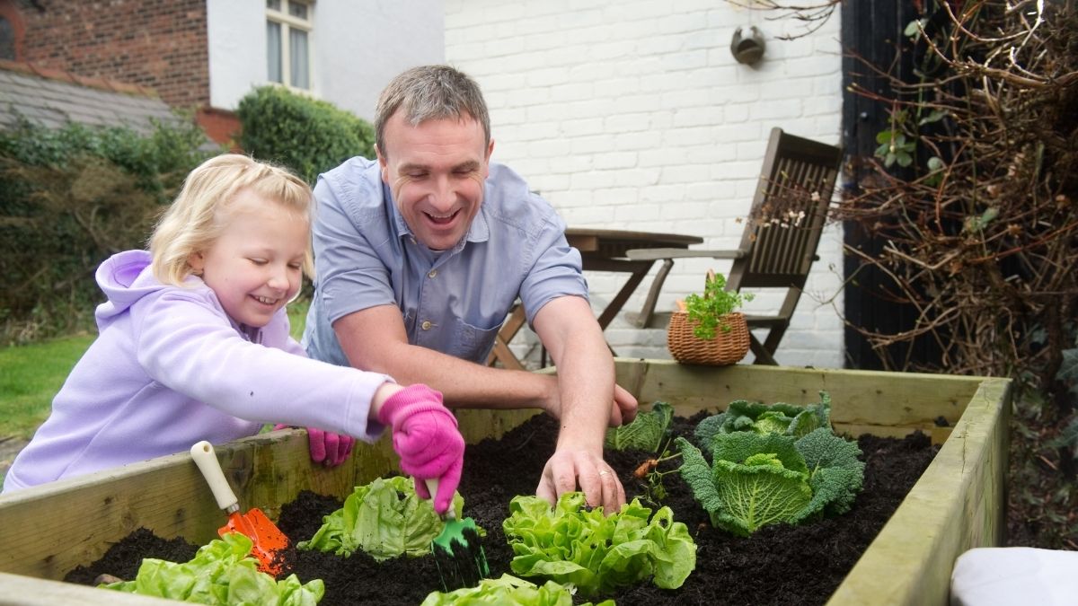 Estas son las verduras que puedes plantar en mayo y cosechar en julio