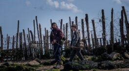 '28 años después', regresan los zombis de Danny Boyle y Alex Garland
