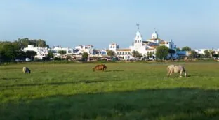Peregrinar por Andalucía: rutas entre fe, cultura y naturaleza