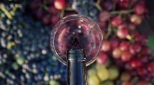 ¿Vino sin alcohol? Tres de cada cuatro consumidores españoles se apuntan a probarlo