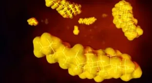 Aurelio Rojas comparte tres alimentos que reducen el colesterol de forma natural