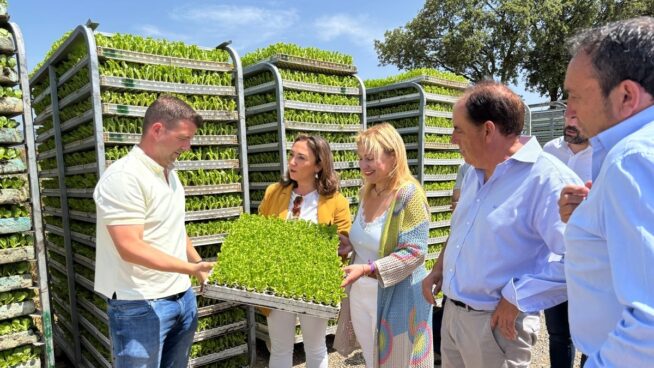 Inversión de 10,5 millones para transformar 500 hectáreas en Hinojosa del Campo