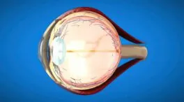 Crean microesferas cargadas de fármacos para tratar el glaucoma de forma integral