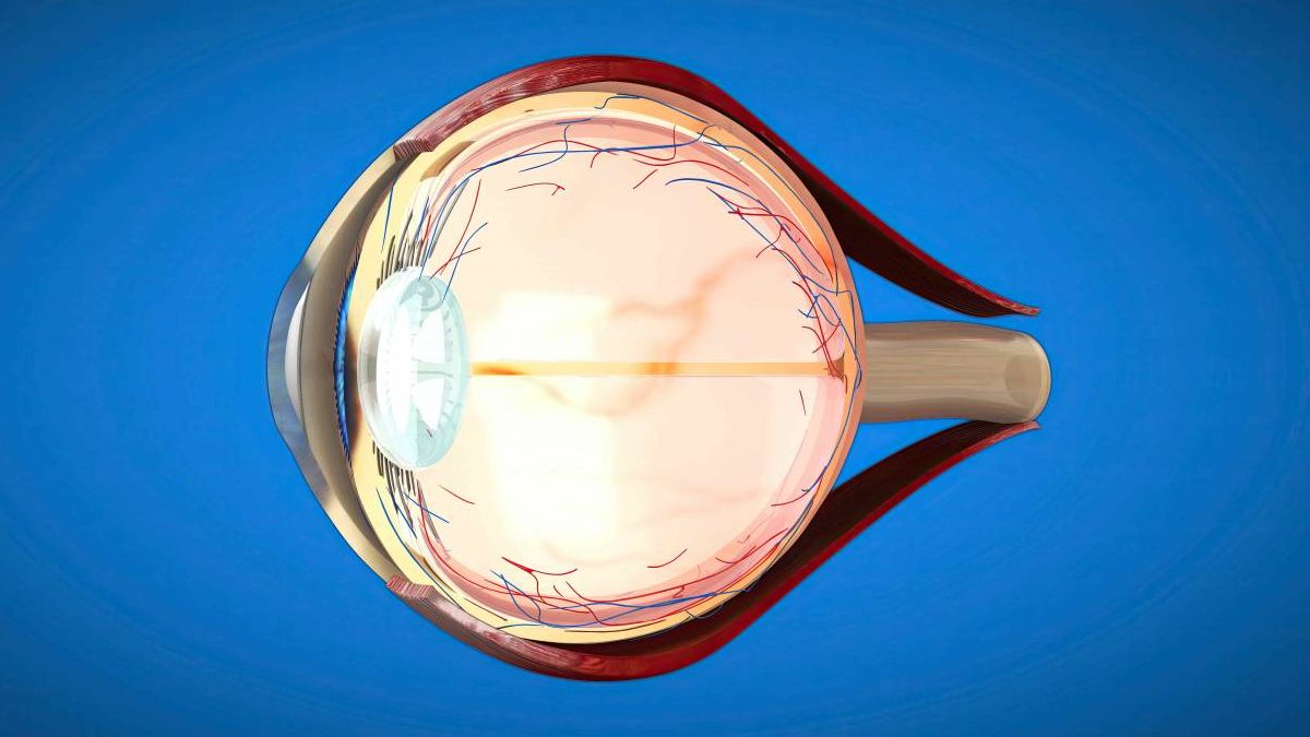 Crean microesferas cargadas de fármacos para tratar el glaucoma de forma integral
