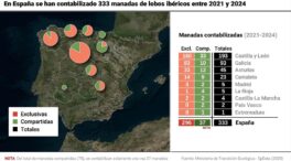 La población de lobos aumenta un 7,3% en Castilla y León respecto al censo anterior
