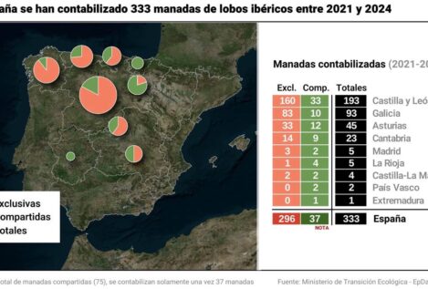 La población de lobos aumenta un 7,3% en Castilla y León respecto al censo anterior