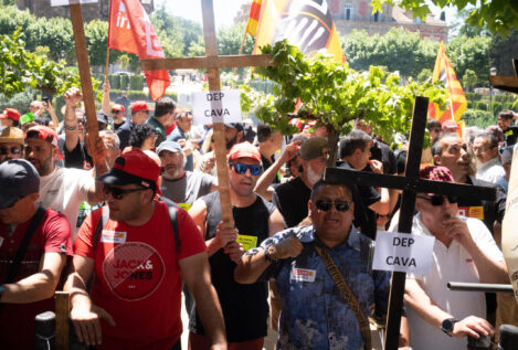 El declive del cava catalán: ERE en Freixenet, malas cosechas, menos ventas…