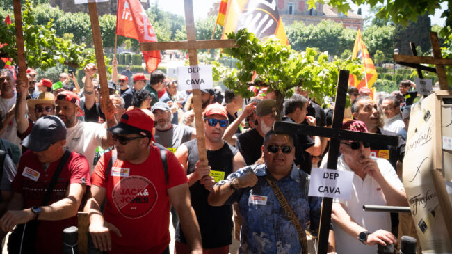 El declive del cava catalán: ERE en Freixenet, malas cosechas, menos ventas…