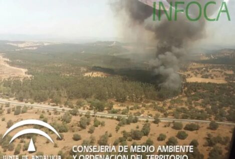 Activada la fase de emergencia por un incendio forestal en Zalamea (Huelva) con 10 aeronaves