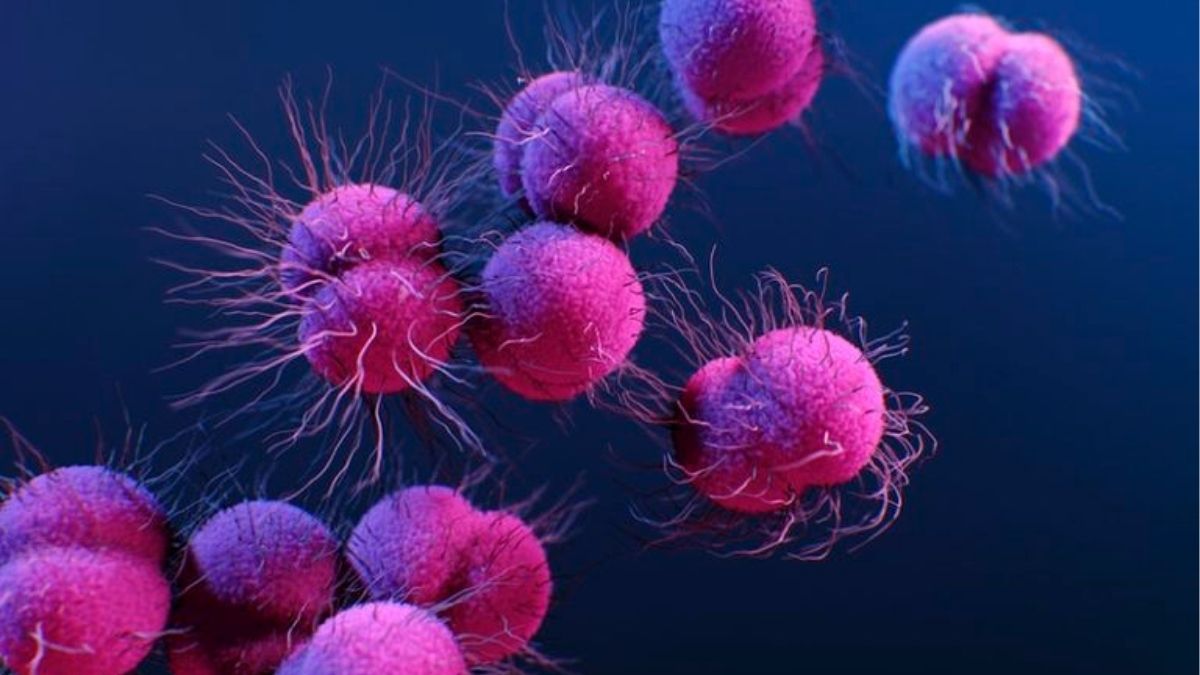 Investigadores españoles diseñan con IA una molécula para tratar el Alzheimer y el cáncer