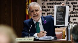 Koldo habló de «ofrecer» aviones de Air Europa al ministro Torres para «deportar a la gente»