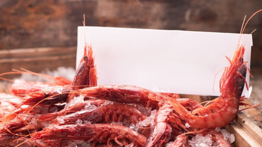 Gambas roja. Canva
