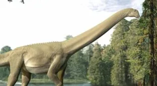 Restos de intestino de un dinosaurio saurópodo muestran que apenas masticaba al comer