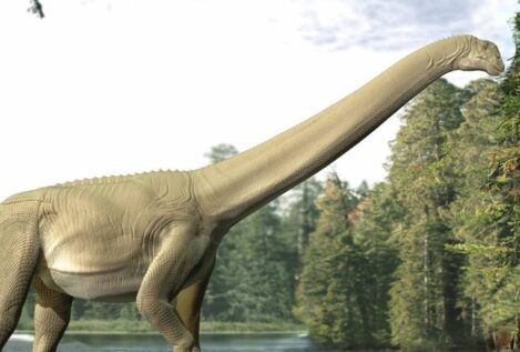 Restos de intestino de un dinosaurio saurópodo muestran que apenas masticaba al comer