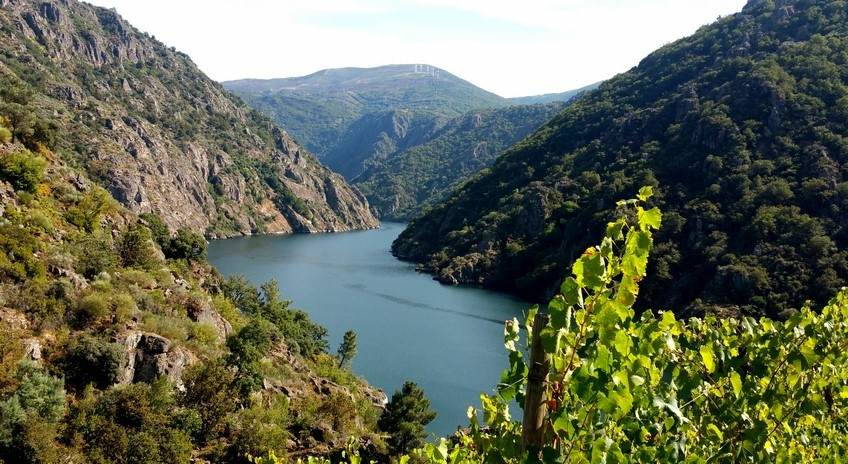 Ribeira Sacra, Galicia | siente Galicia