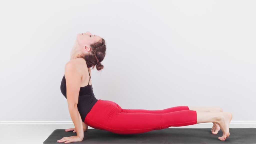 Urdhva Mukha Svanasana | Canva