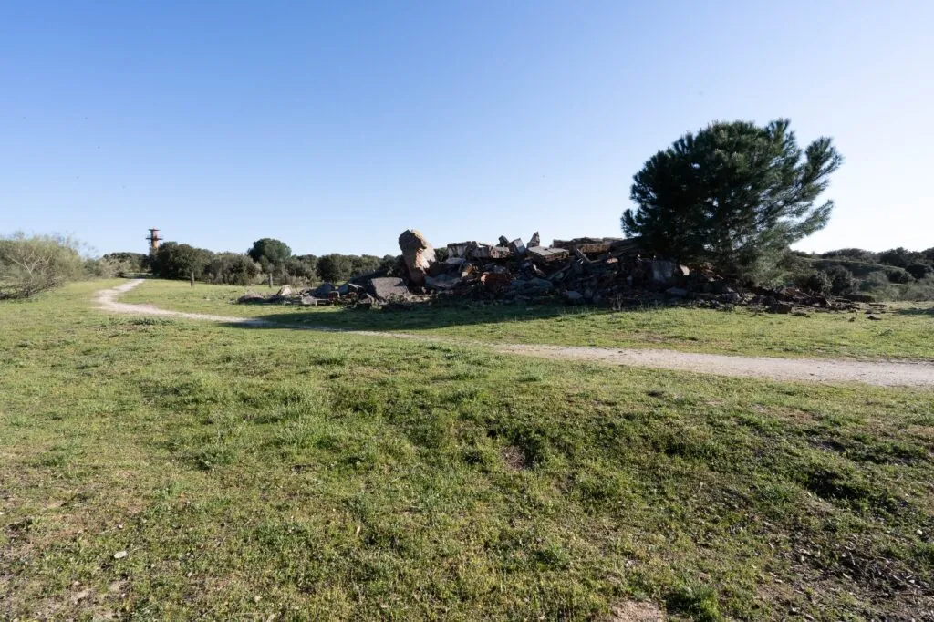 Zona de Montegancedo (Pozuelo de Alarcón) que se quiere urbanizar I THE OBJECTIVE