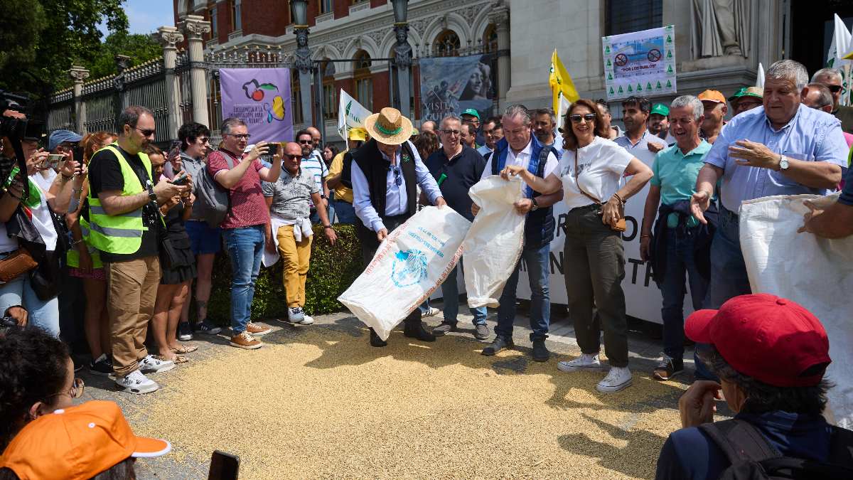 El sector del cereal explota por el precio de los fertilizantes y exige retirar los aranceles a Rusia