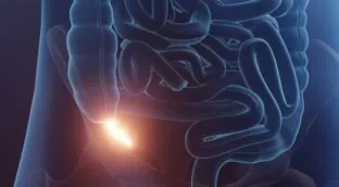 El apéndice no es un órgano tan inútil como pensábamos